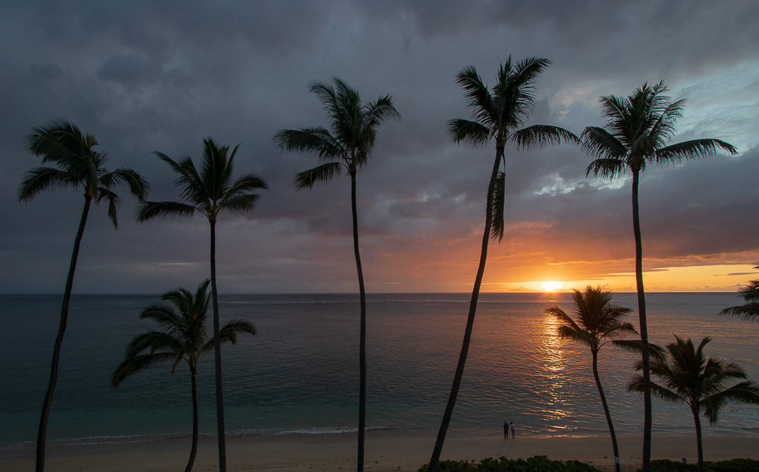 Silhouettes of palm trees, two people on the beach, and sunrise over ocean